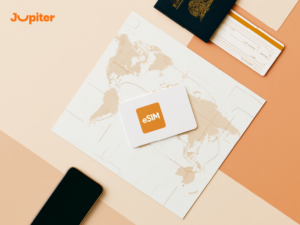 public mobile esim