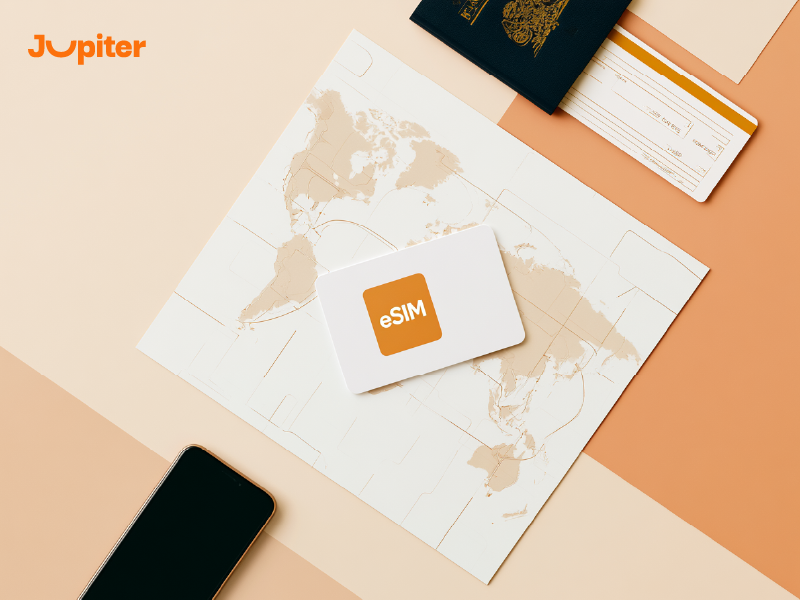 public mobile esim